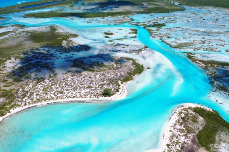 Conception Island creek and natural scenery