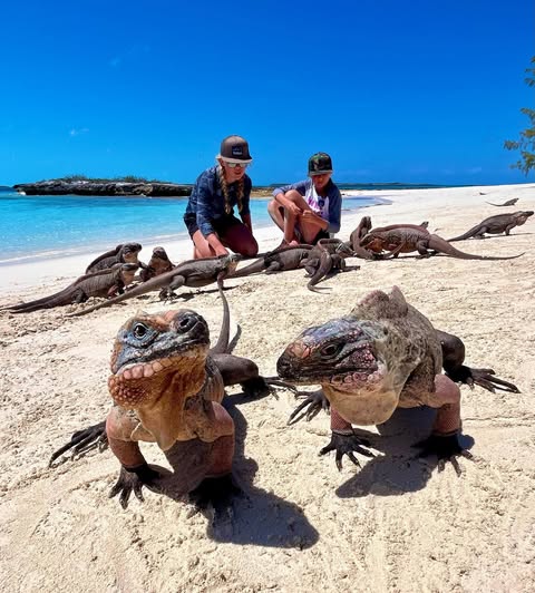 Playing with dinosaurs on Iguane Beach
